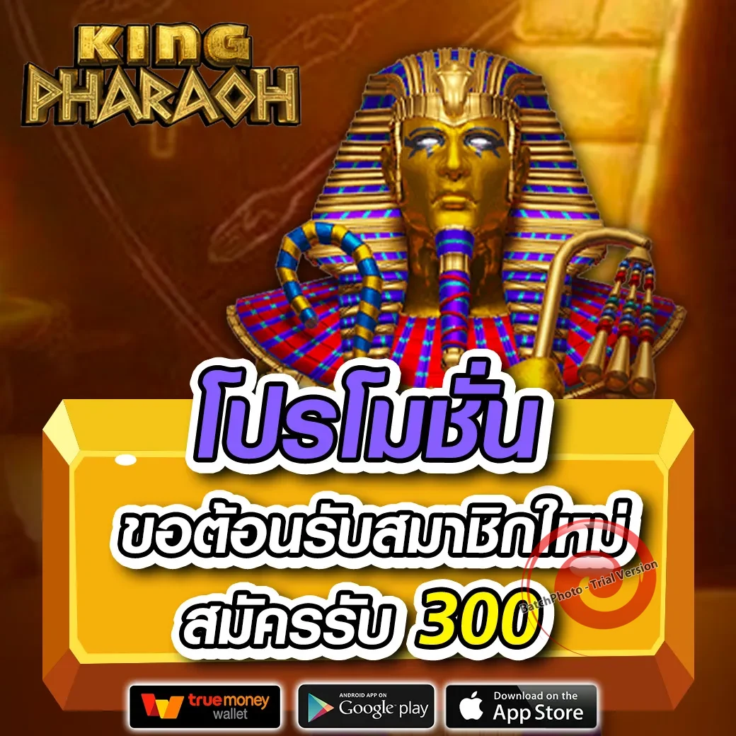 เบทฟิก666 ทางเข้า